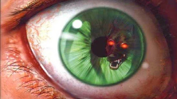 Novelização: ZERO HOUR