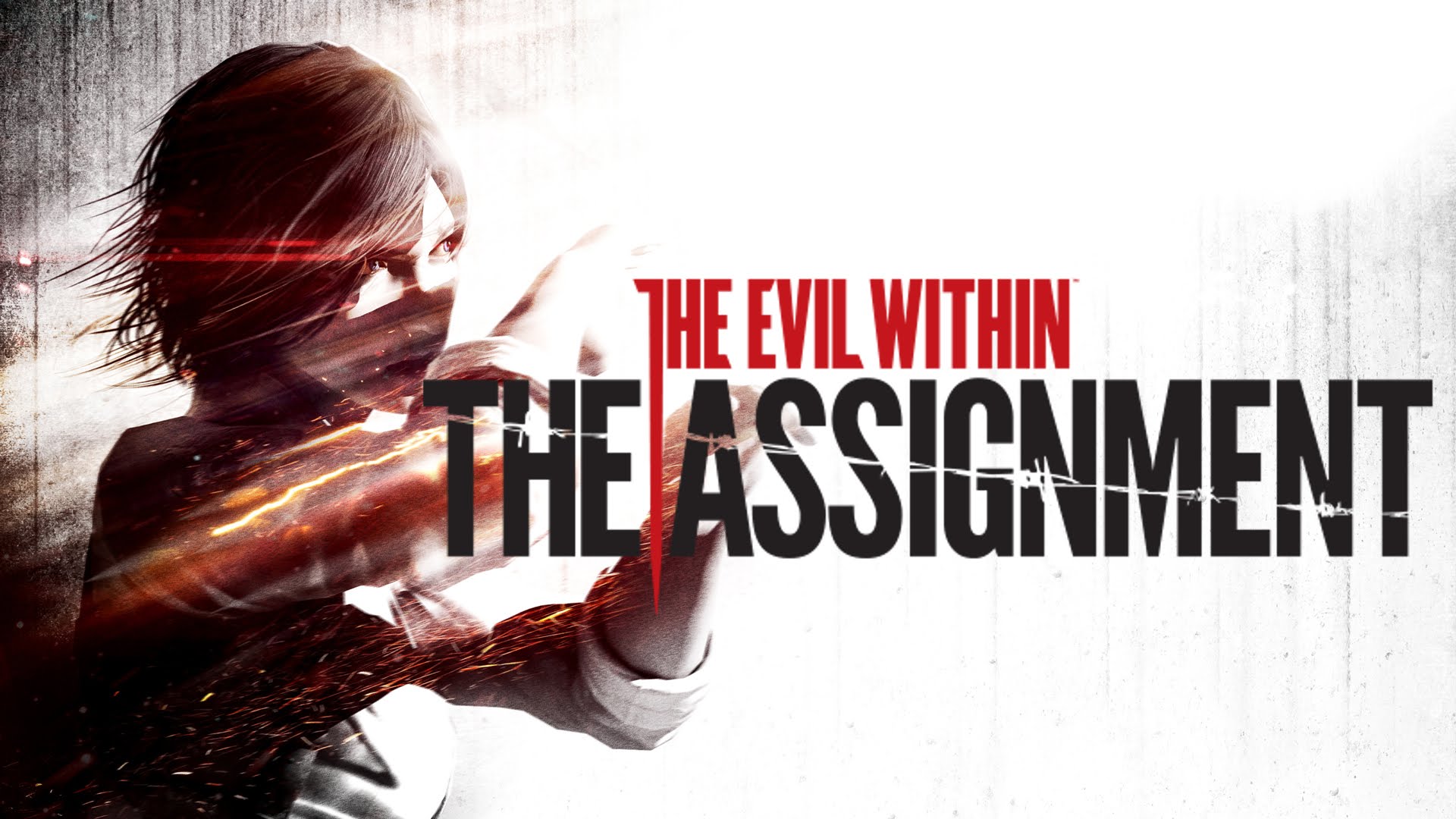 the evil within the assignment trainer