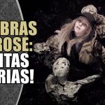 news-tgs22-entrevistas-shadows-rose